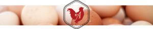 Graphic Regime Chris Mark Creative Director Alexandre Family EcoDairy Farms chicken rooster eggs icon logo design